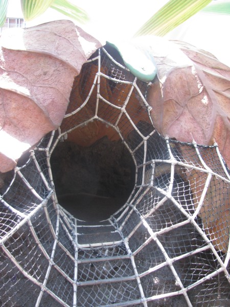 Hollywood Studios 080.jpg